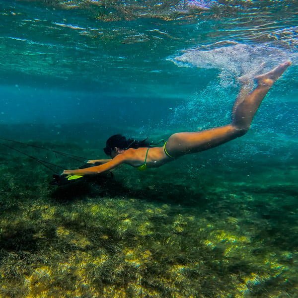 seafly2-600x600